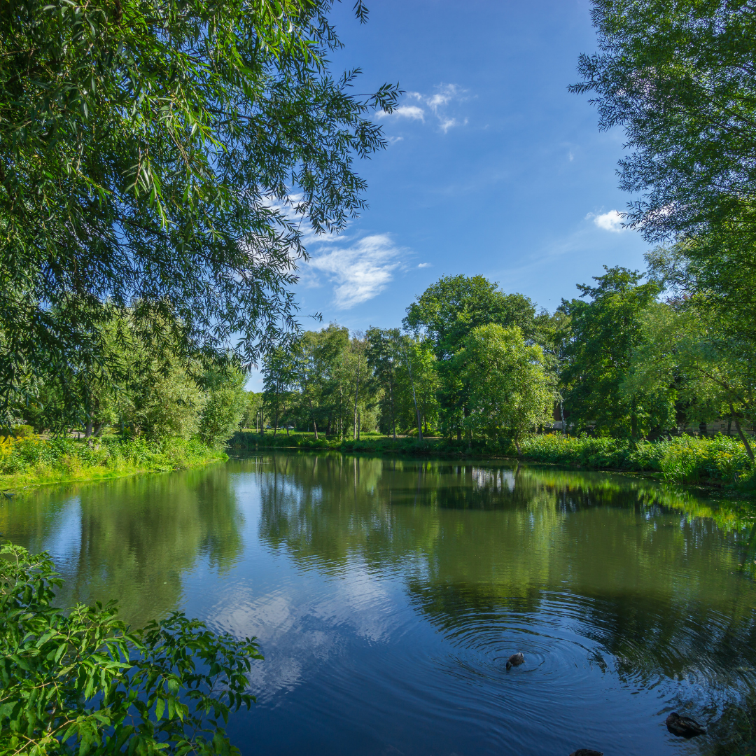 Fostering Growth & Building Trust: Leadership Reflections by the Lake